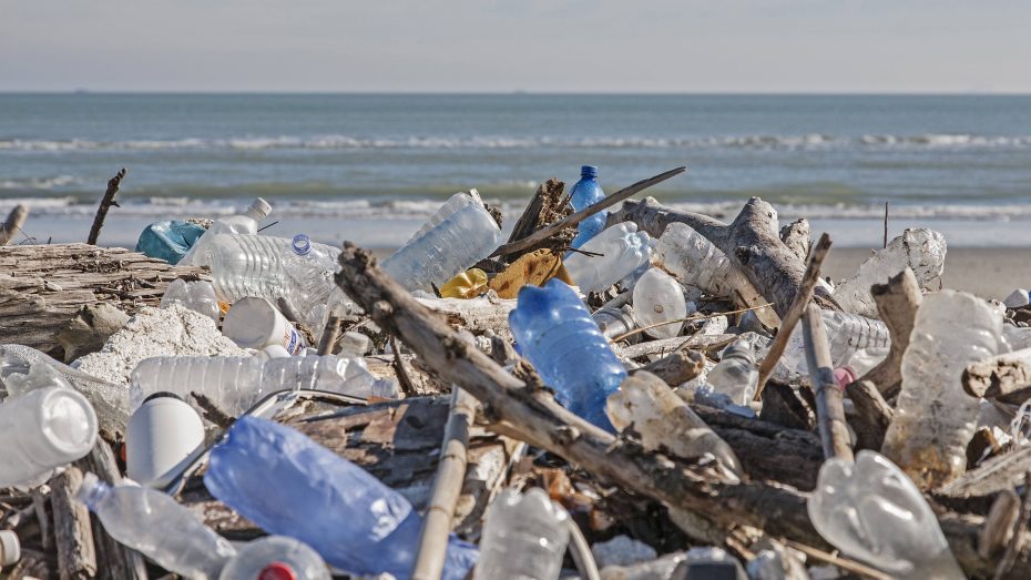  Umwelt  Gegen eine Welt aus Plastik  Bayernkurier